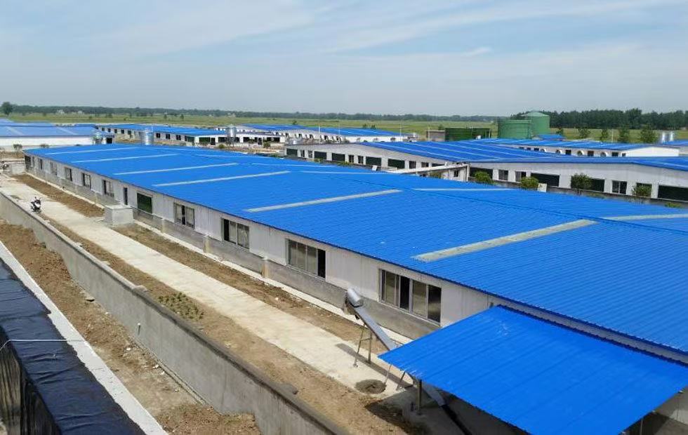 ASA Synthetic Resin Roof Tile