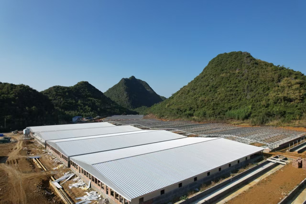 UPVC Plastic Roofing Sheet