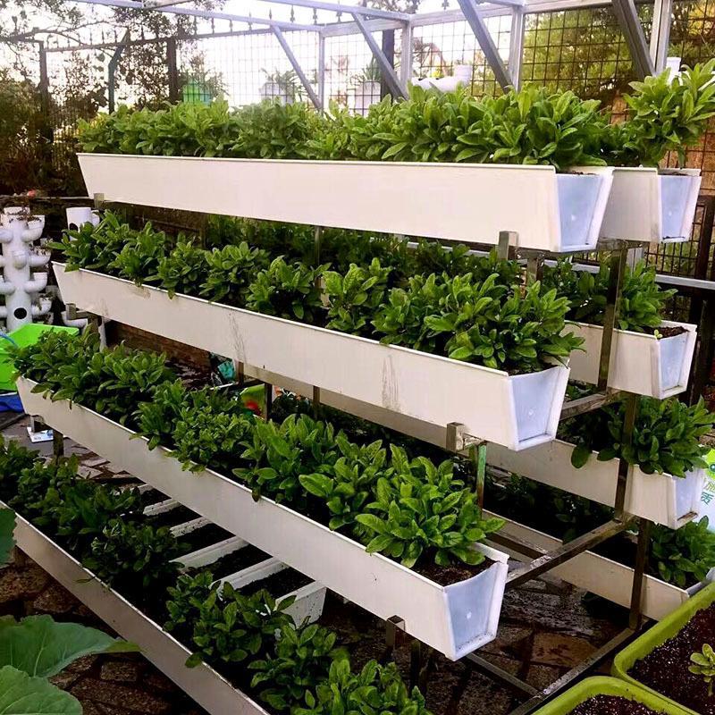 PVC planting trough soilless cultivation organic vegetable planting greenhouse China manufacturer