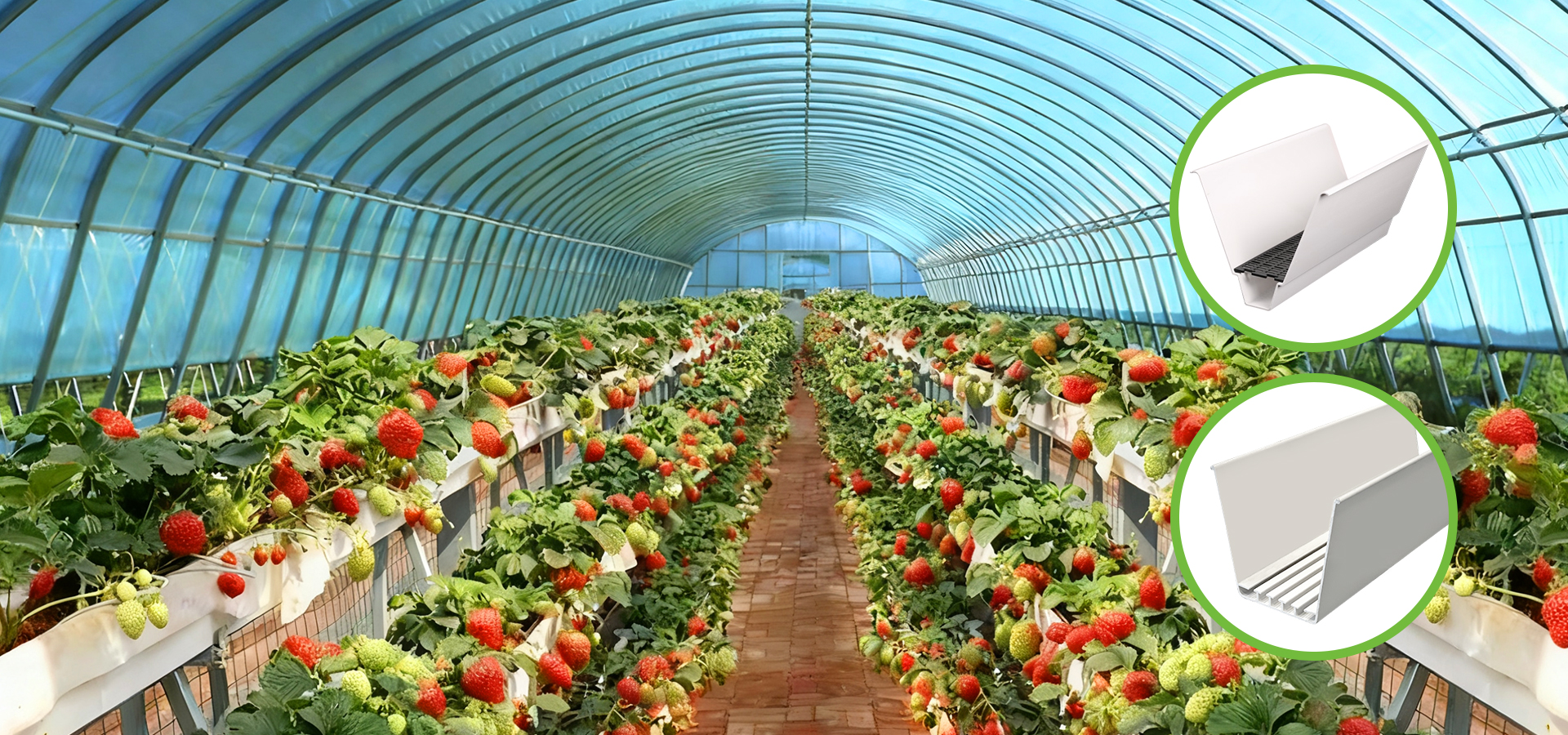 Built for Scale, Designed for Efficiency.